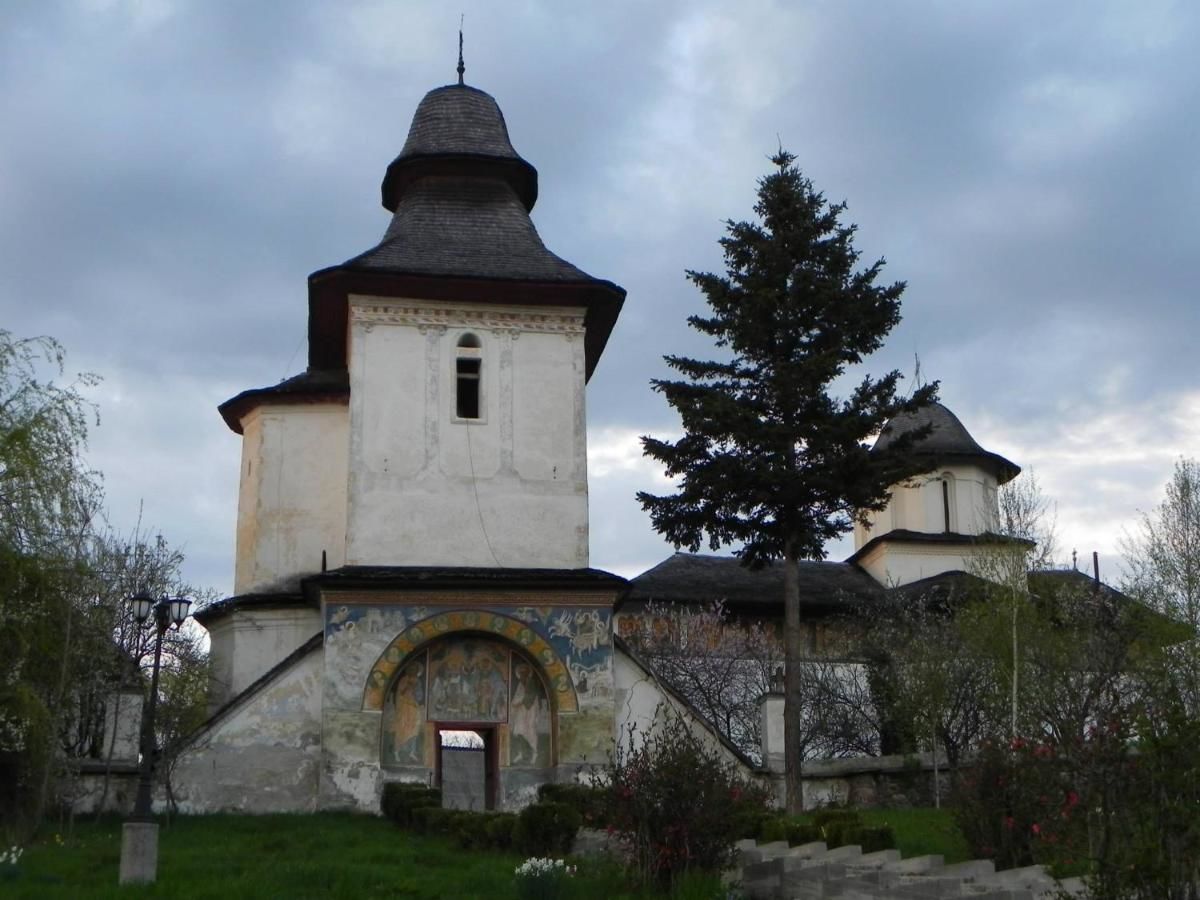 Гостевой дом Pensiunea Paradis Borobăneşti-17