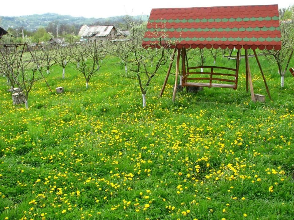 Гостевой дом Pensiunea Paradis Borobăneşti-20