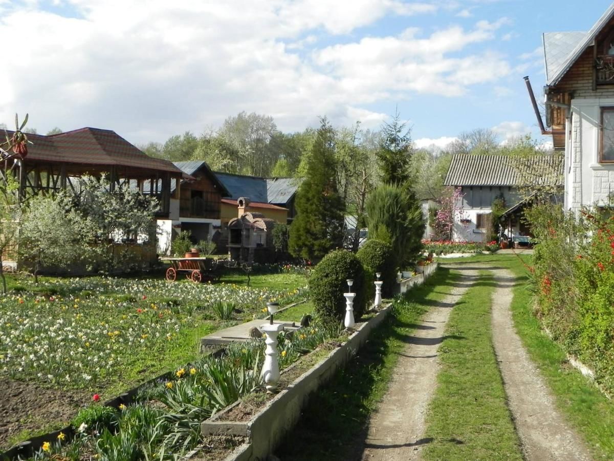 Гостевой дом Pensiunea Paradis Borobăneşti-25